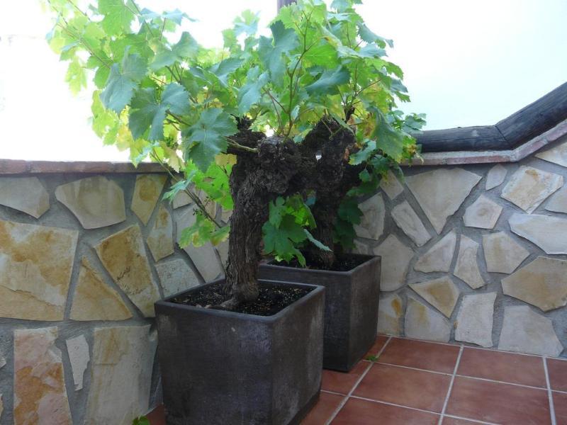 Hostal Palomares Salobrena Luaran gambar